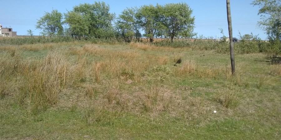 Vendo Lote De 742m² A 400 Metros Del Mar Con Pilar De Luz En Altos Del Mar