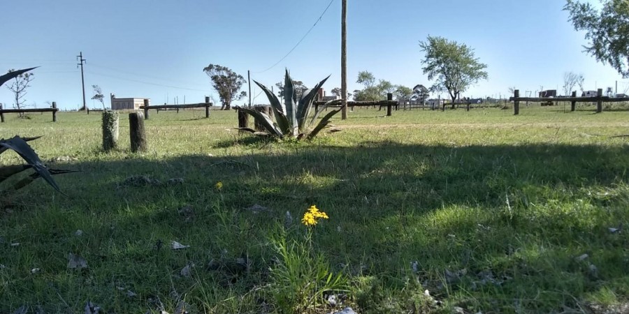 Vendo Lote De 742m² A 400 Metros Del Mar Con Pilar De Luz En Altos Del Mar