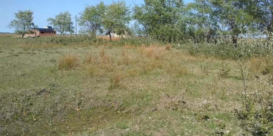 Vendo Lote De 742m² A 400 Metros Del Mar Con Pilar De Luz En Altos Del Mar